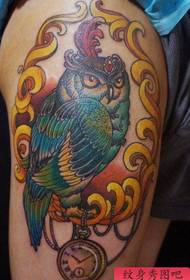 mužské nohy klasický hezký sova tetování vzor
