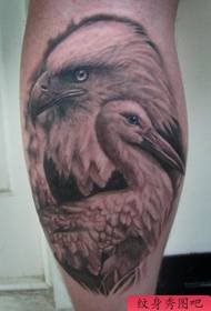 推荐一幅小腿上的老鹰天鹅纹身作品