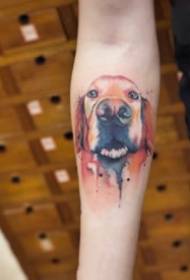 18 grups de gatets i tatuatges de mascotes