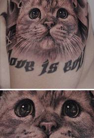 brazo patrón de tatuaxe de gato lindo