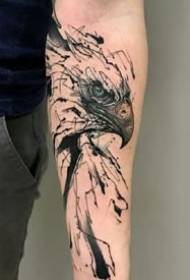 Sketch Tattoo: Маҷмӯи шакли сиёҳ хокистарӣ сиёҳи эскизҳои ҳунарҳои эскизи ҳайвони эскизи