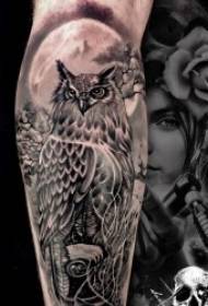 tattoo Owl 8 tauira doomsday Atu i te tauira tattoo moe o te hiwi