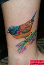 et farvet fuglefat-tatoveringsmønster