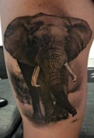 mutilen izterrak arantza gris beltzetan lerro sinplea animalia elefante tatuaje irudi errealista