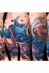 octopus tattoo patroan sêft En onhandich octopus tattoo patroan