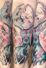 braccio sulla testa di cervo sika colorato foto tatuaggio stella tatuaggio