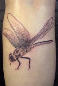 красивый рисунок татуировки стрекоза