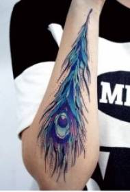 peacock feather tattoo ntau yam ntawm cov yaj yuam xim zaj duab xis zoo nkauj heev