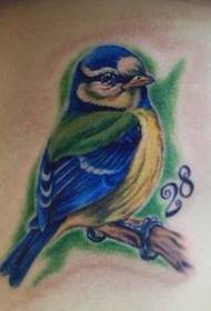Animal Tattoo Pattern: Color Bird Magpie Tattoo Pattern Tattoo Immagine 133237 - Classic Butterfly Tattoo Pattern
