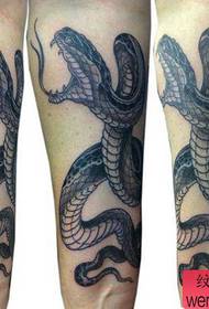 O brazo é popular co estilo tradicional de tatuaxe de serpe en branco e negro