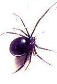 gambar pola tato spider