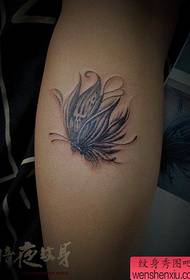 Skizo papilio tatuaje ŝablono