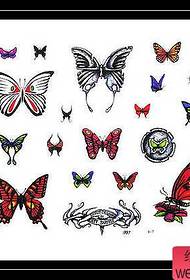 spalvos drugelio tatuiruotės modelis
