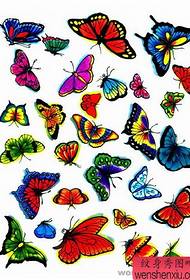 나비 문신 패턴 : 컬러 나비 문신 패턴 사진