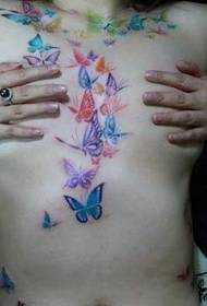 Pop Butterfly Tatu