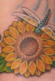 向日葵和蜻蜓彩色纹身图案