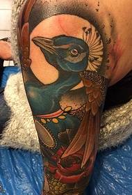 Paʻa peacock tattoo ma ka poʻohiwi