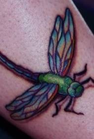 彩色的翅膀綠色蜻蜓紋身圖案