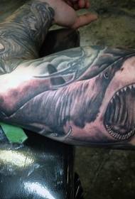 Modello di tatuaggio squalo diabolico grigio