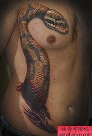bel anësor Në modelin realist të tatuazheve të gjarprit
