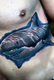 гигантска тетоважа ајкула шема во вода во боја на абдомен