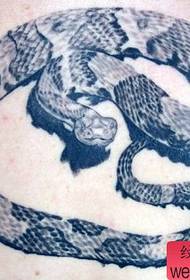 Modello di tatuaggio maschile - Modello realistico realistico del tatuaggio del serpente
