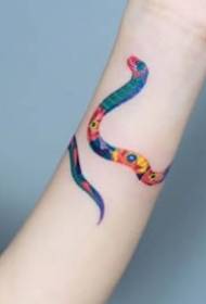 model de tatuaj șarpe acuarelă - 9 piese din tatuajul creativ al tatuajului coreean Zhihee