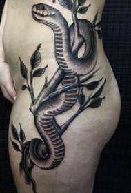девушка боковой талии на черный серый эскиз точка терновый трюк ужас змея тату