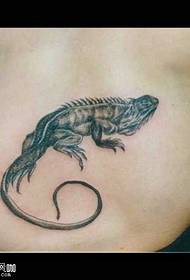 Χαρακτηριστικό Tattoo Lizard