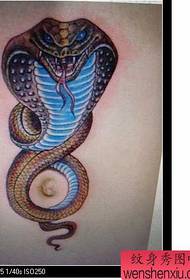 patró de tatuatge de serp: patró de tatuatge de serp de color posterior