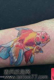 vajzës i pëlqen modeli me tatuazhe të vogla peshku të artë me krah