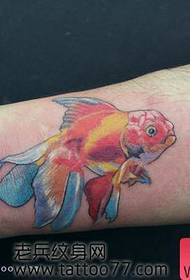 girl likes the arm colored small goldfish tattoo pattern