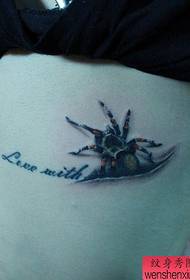 ti fi tounen chire modèl tatoo Spider