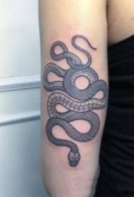 9 bildkonst tatuering bild av ormen