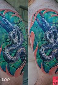 男性の腕の細かいポップクールなヨーロッパとアメリカの色のヘビのタトゥーパターン