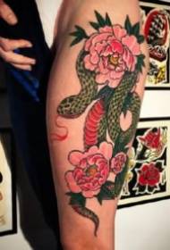 Un conxunto de nove imaxes de tatuaxes con temas de serpe de varios estilos