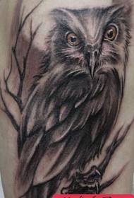 Zithunzi Zathupi: Zithunzi za Arm Owl