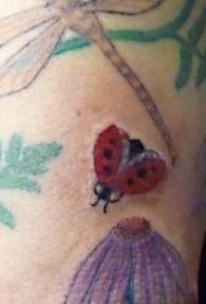 ფერადი ladybug და dragonfly tattoo ნიმუში 134167 - ბევრი მფრინავი პატარა მწვანე dragonfly tattoo დიზაინის