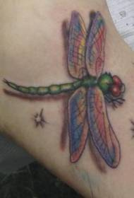 modello tatuaggio libellula realistico e delicato