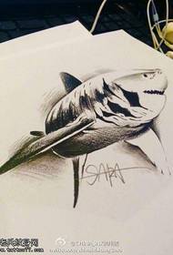 個性鯊魚紋身手稿圖片