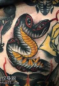 mult-okula serpenta tatuaje mastro de la abdomeno