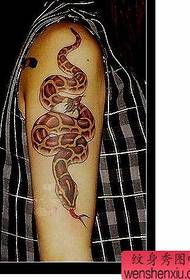Schlaang Tattoo Muster: Eng Aarm Faarf Schlaang Tattoo Muster