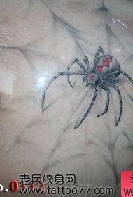 Цоол узорак тетоваже паука на рамену