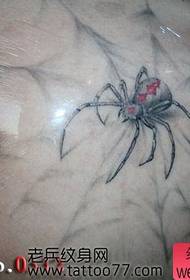 Fantastico modello di tatuaggio con ragnatela sulle spalle