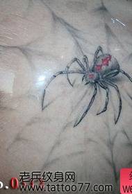 Cool skouder spider web tattoo patroan