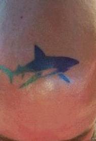 hoofd tattoo patroon: pictogram kleur totem haai tattoo patroon