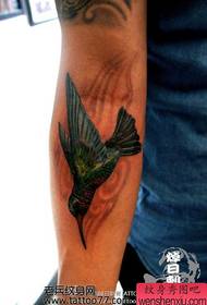 wzór tatuażu kolibra na ramieniu
