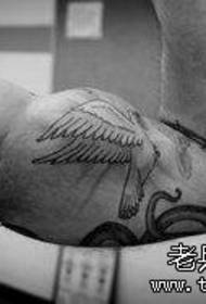 znaczenie tatuażu gołębia