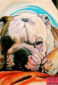 Patrón de tatuaje animal: Patrón de tatuaje 3D Pug de color de brazo