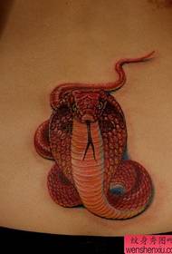 cintura patrón de tatuaxe de cobra de cor boa